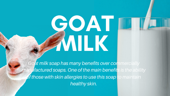 Why You Need Goat Milk Products